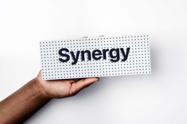 Team Synergy: Image is a sign with the word synergy held by a hand.