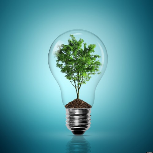 Huge Business Success: Image is light bulb w/ tree inside.