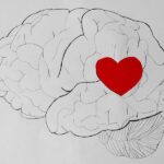 Decision Making Emotions: Image is brain w/ heart shape embedded in it.