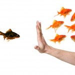 Reverse Hostile Workplace: Image is one fish of different color from the rest & hand stopping it.