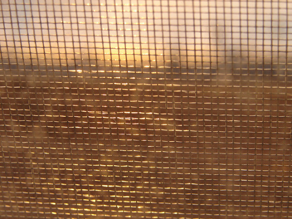 Responsible Authenticity: Image is mesh screen with sunset behind.