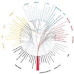 Team Change Resistance: Image is a Logic Diagram